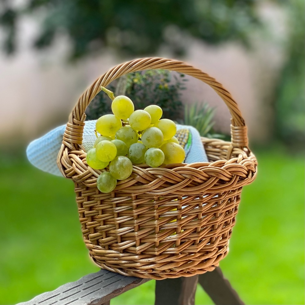 NEW Wood Hand Woven Braided Basket With Handle, Plant Hanger Wood Storage Basket